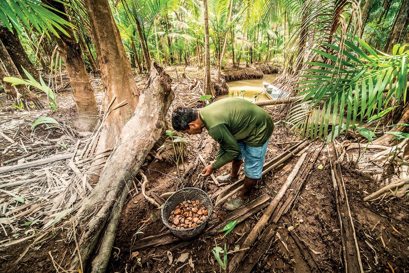 Exclusivo: Mercado Livre e MIDR levam produtores da bioeconomia ao e-commerce