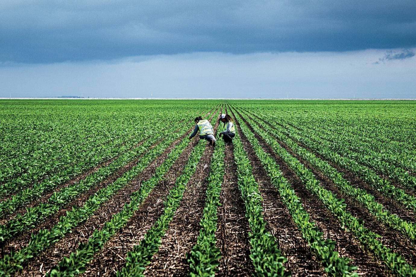 Do Sul ao Nordeste: como o El Niño pode mudar a produção agrícola no Brasil