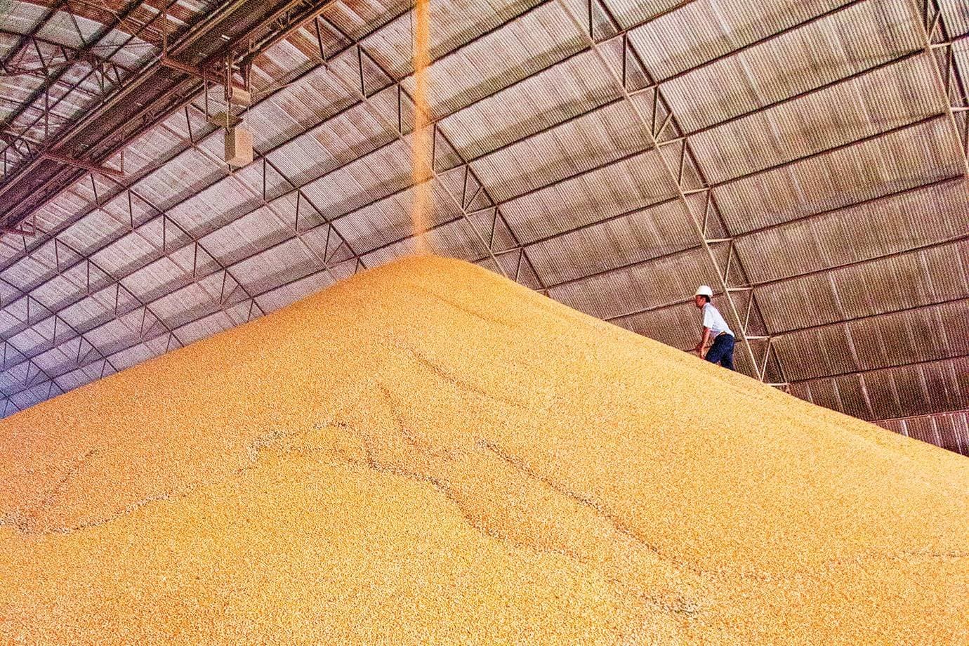 Processamento de soja no Brasil pode alcançar maior nível da história em 2026