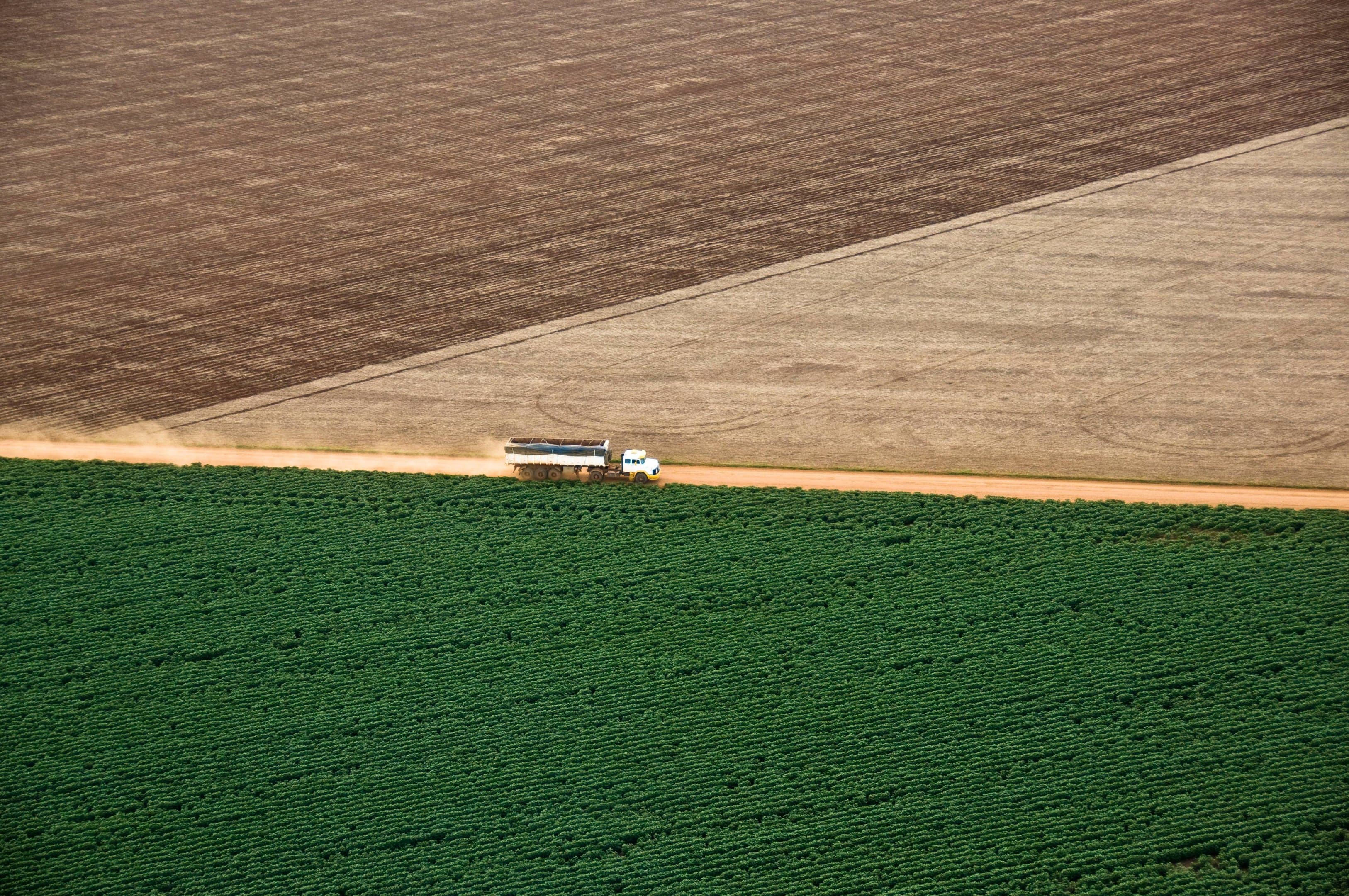 O El Niño vai derrubar a produção de soja do Brasil? Para este banco, não