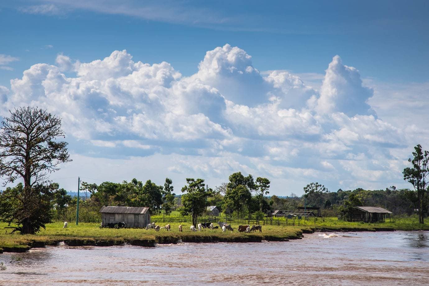 Desmatamento cai na Amazônia e 588 áreas protegidas ficam intactas no semestre