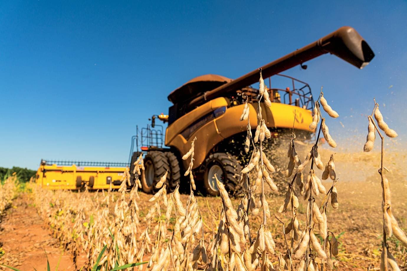 Do recorde à queda: PIB do agro pode recuar 3% com El Niño em 2026