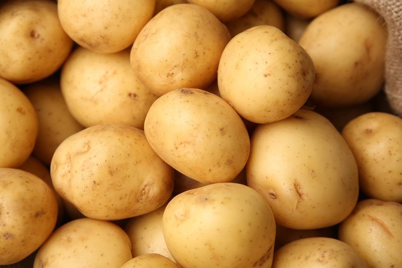 Como a batata pode ter mudado o DNA dos primeiros povos dos Andes
