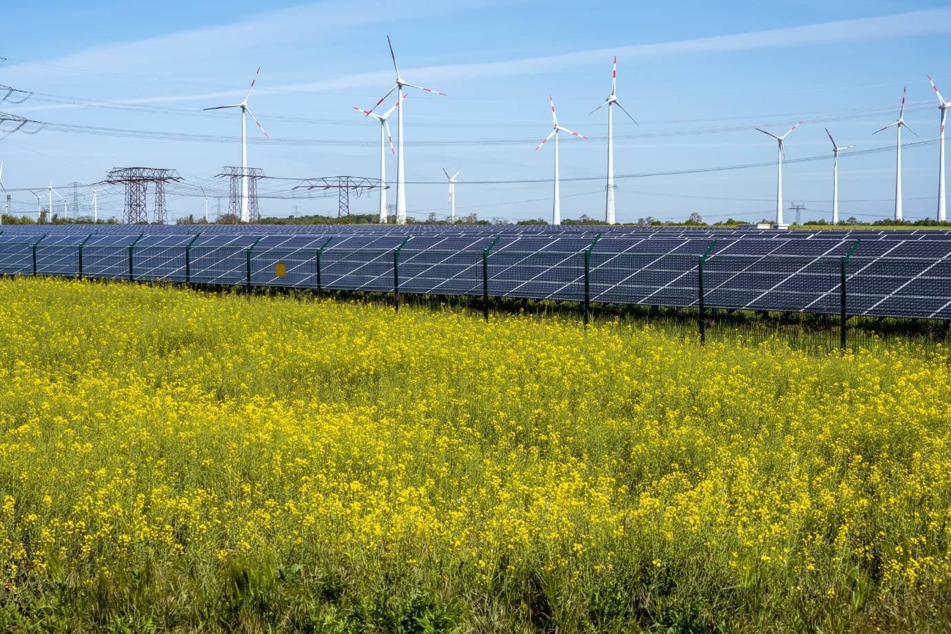 Quem financia a transição energética brasileira?