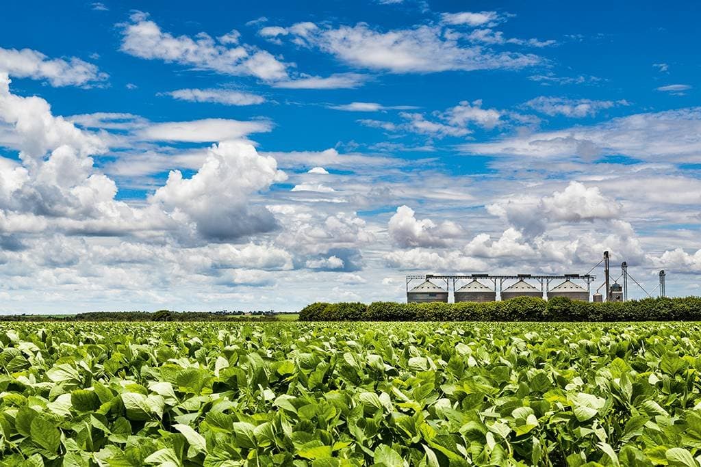 As 10 cidades do agro brasileiro que geraram R$ 66 bilhões em 2025