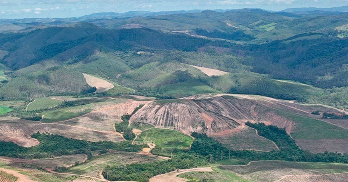 Mineradora australiana compra projeto de terras raras no Sul de Minas por R$ 3,5 bi