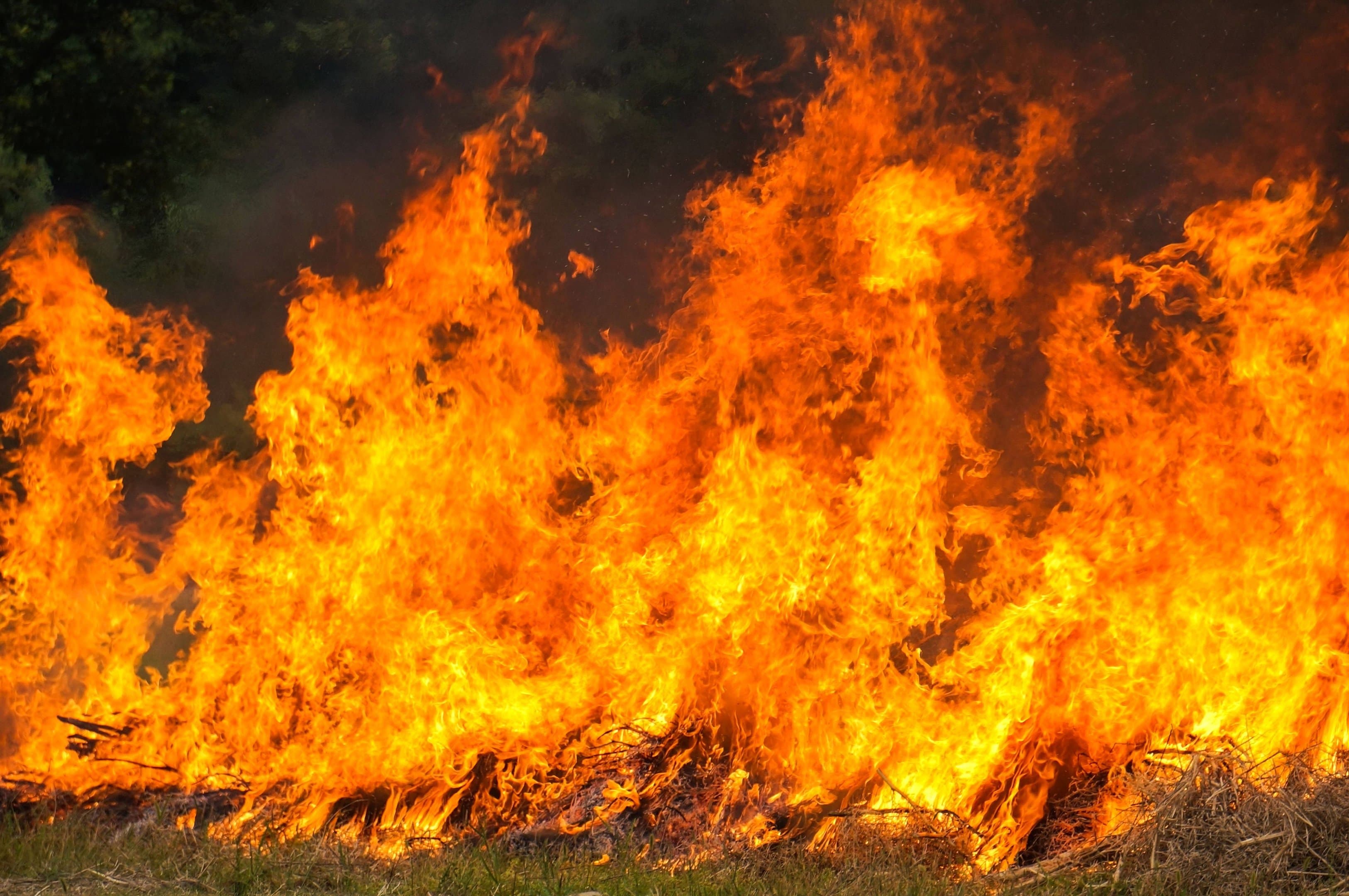 Amazonas tem 36 cidades em emergência por incêndios: ‘mais grave do que eu imaginava’, diz ministro