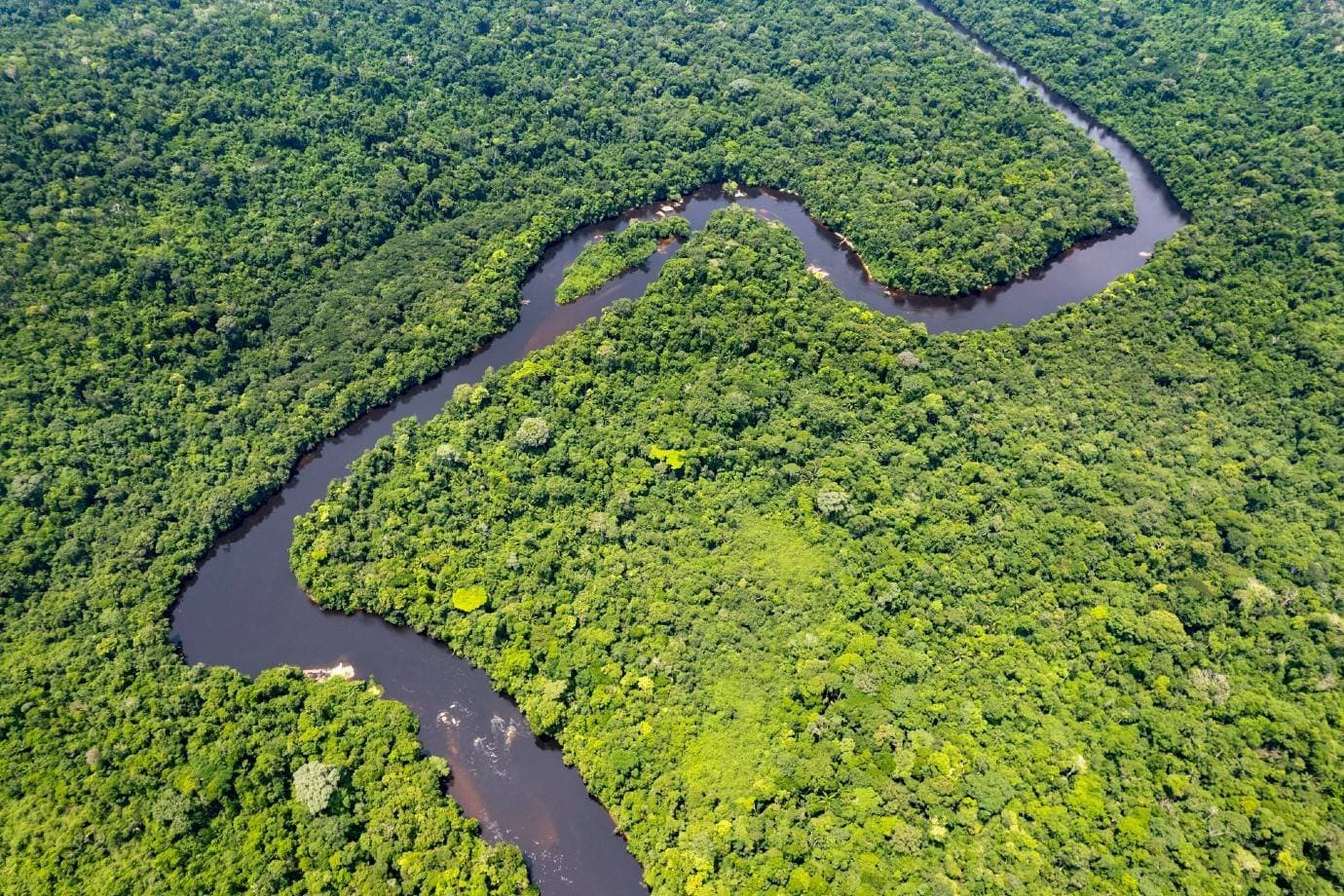 Desmatamento cai 41% na Amazônia e 23% no Cerrado e atinge menor nível da história
