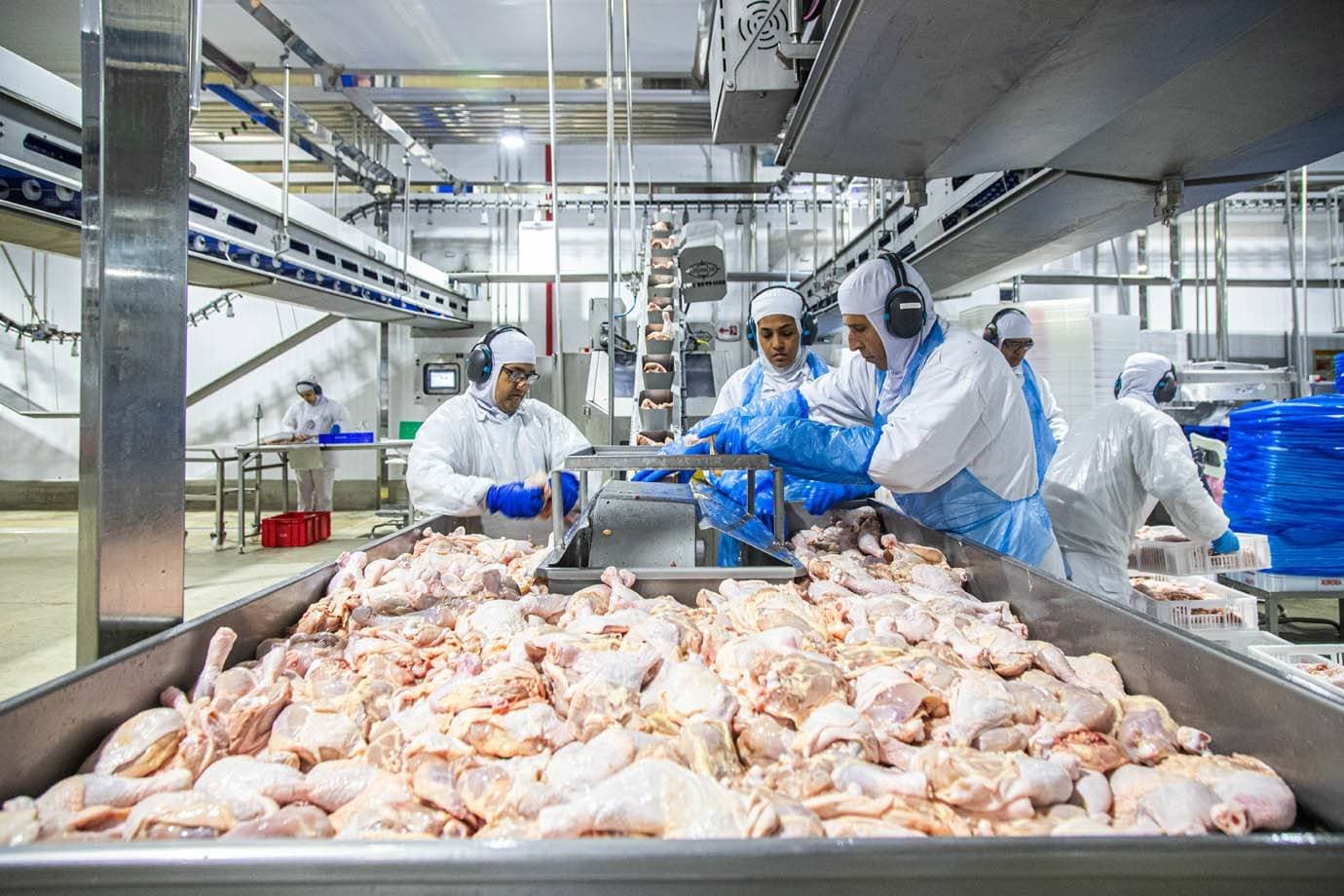 MBRF desaba 4% na bolsa; doença de Newcastle em SC ameaça exportações à China