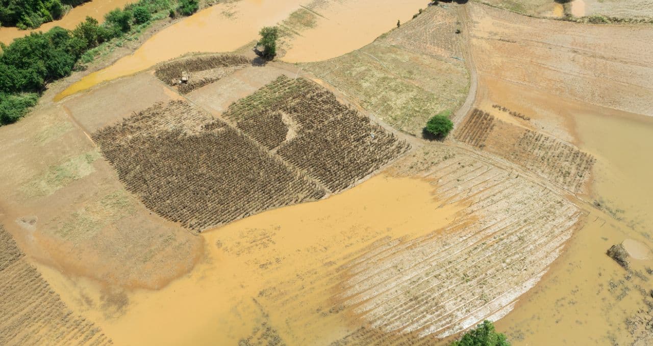 Secas devastadoras, chuvas torrenciais: O que é o ‘El Niño Godzila’, que pode atingir o Brasil