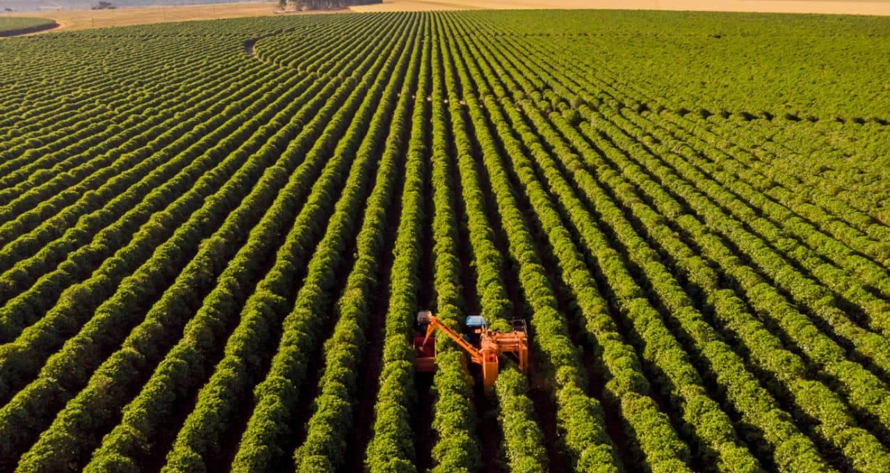 Banco do Brasil (BBAS3) em alerta: Inadimplência no agronegócio sobe para 8,2%, mostra Serasa