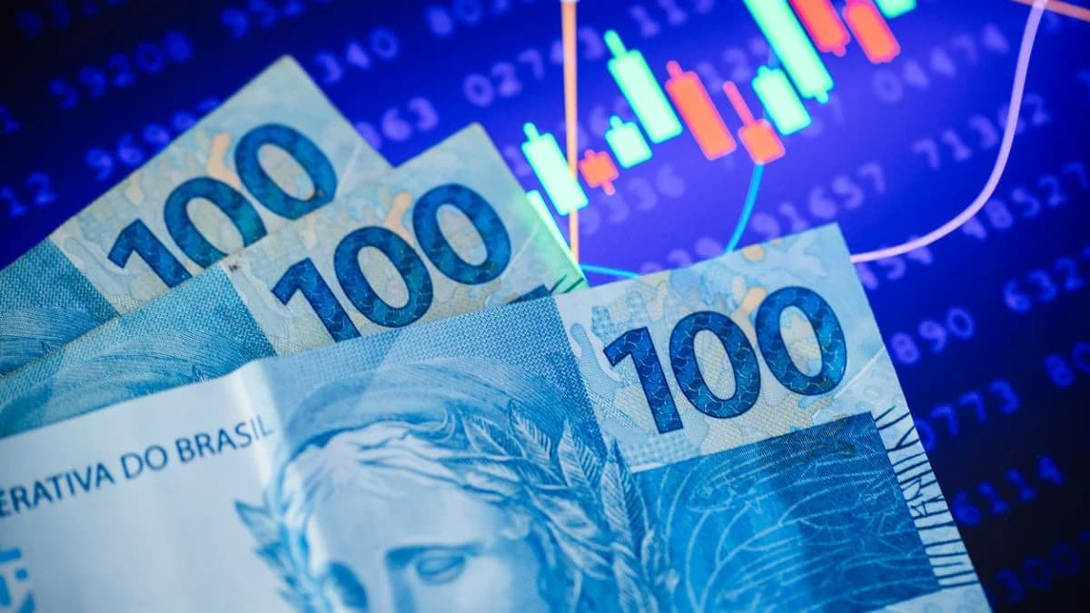 Dividendos: 12 ações para ter na carteira de junho, segundo a XP Investimentos