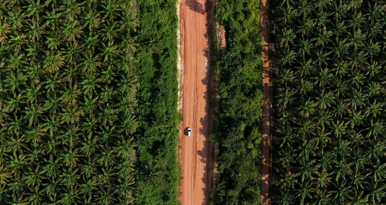 Ministro da Agricultura da Indonésia pede à polícia que investigue 300 empresas de óleo de palma sobre preços