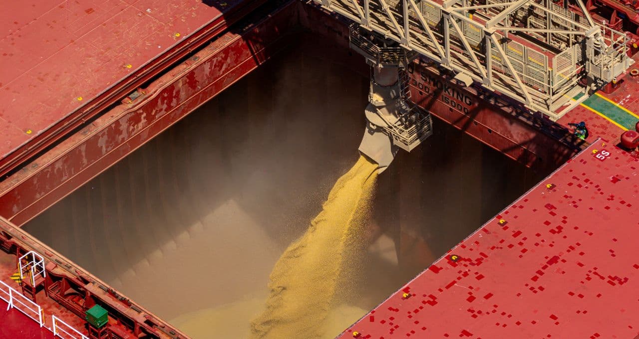 Alta dos fertilizantes diminui vantagem de agricultores brasileiros sobre rivais norte-americanos