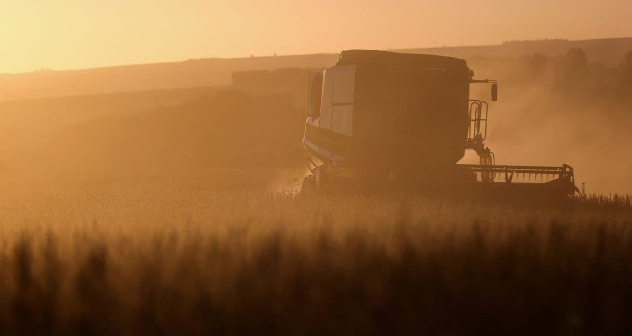 Soja e trigo sobem antes de relatório do USDA