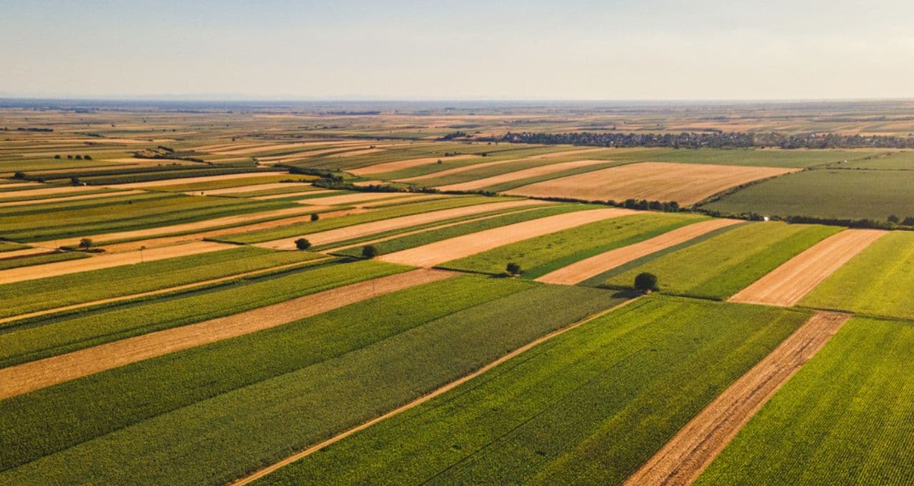 Ceron: Há disposição de ajudar o agro, mas dentro daquilo que é possível e necessário