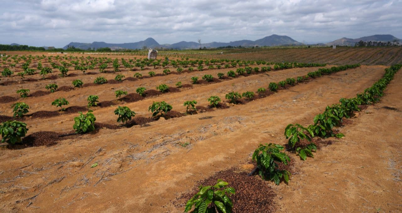 Economistas preveem que El Niño elevará a inflação no Brasil, mostra consulta do BC