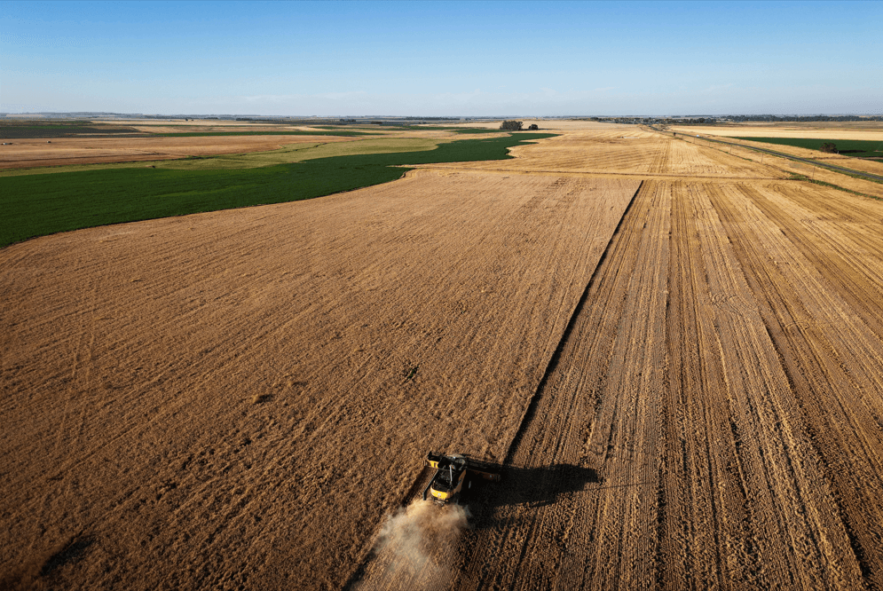 El Niño pode beneficiar safras do Brasil e da Argentina, aponta relatório