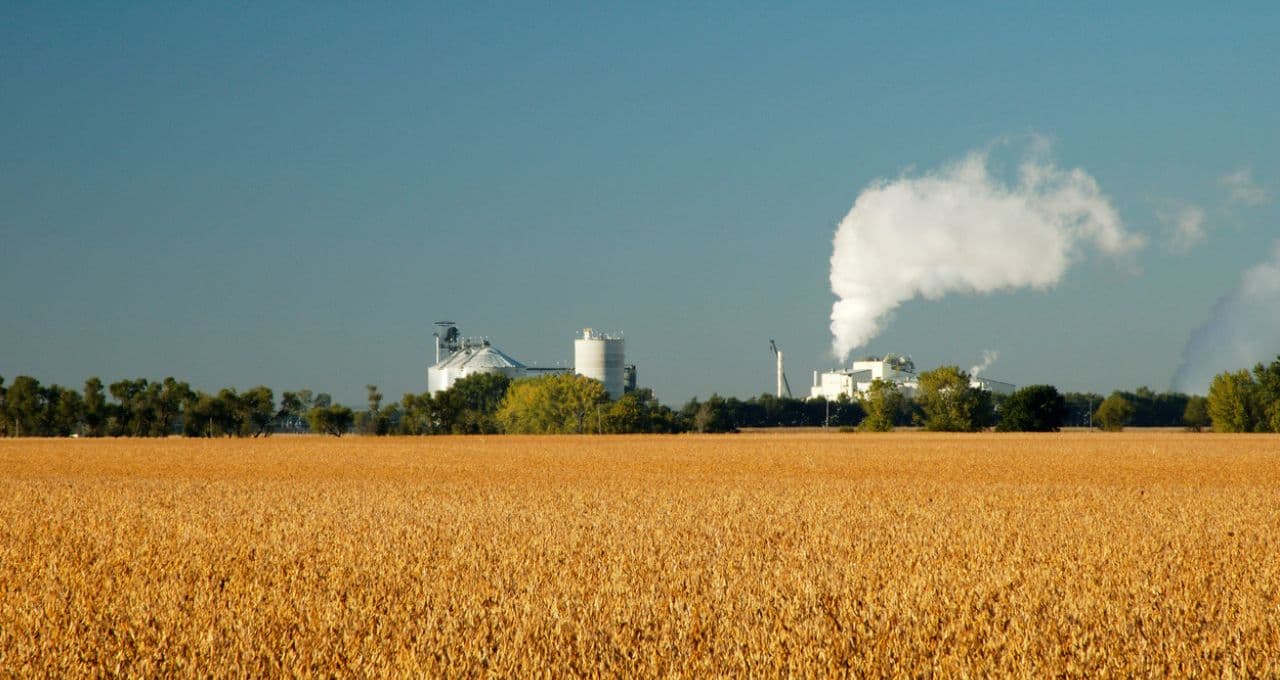 ‘Mercado climático’ domina formação de preços da soja e milho, enquanto petróleo perde força