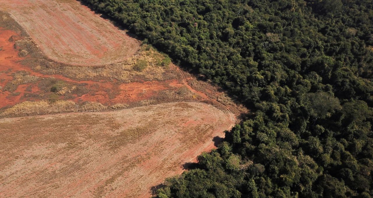 SLC Agrícola (SLCE3) e Bom Futuro dizem que exerceram preferência na aquisição de mesmas terras da Radar em MT