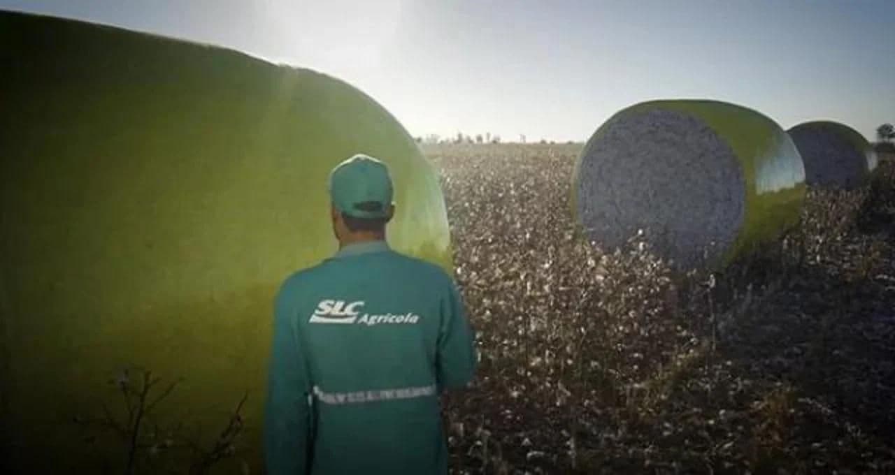 SLC Agrícola (SLCE3): Compra de terras da Radar faz tese depender muito de “único fator”, diz BTG