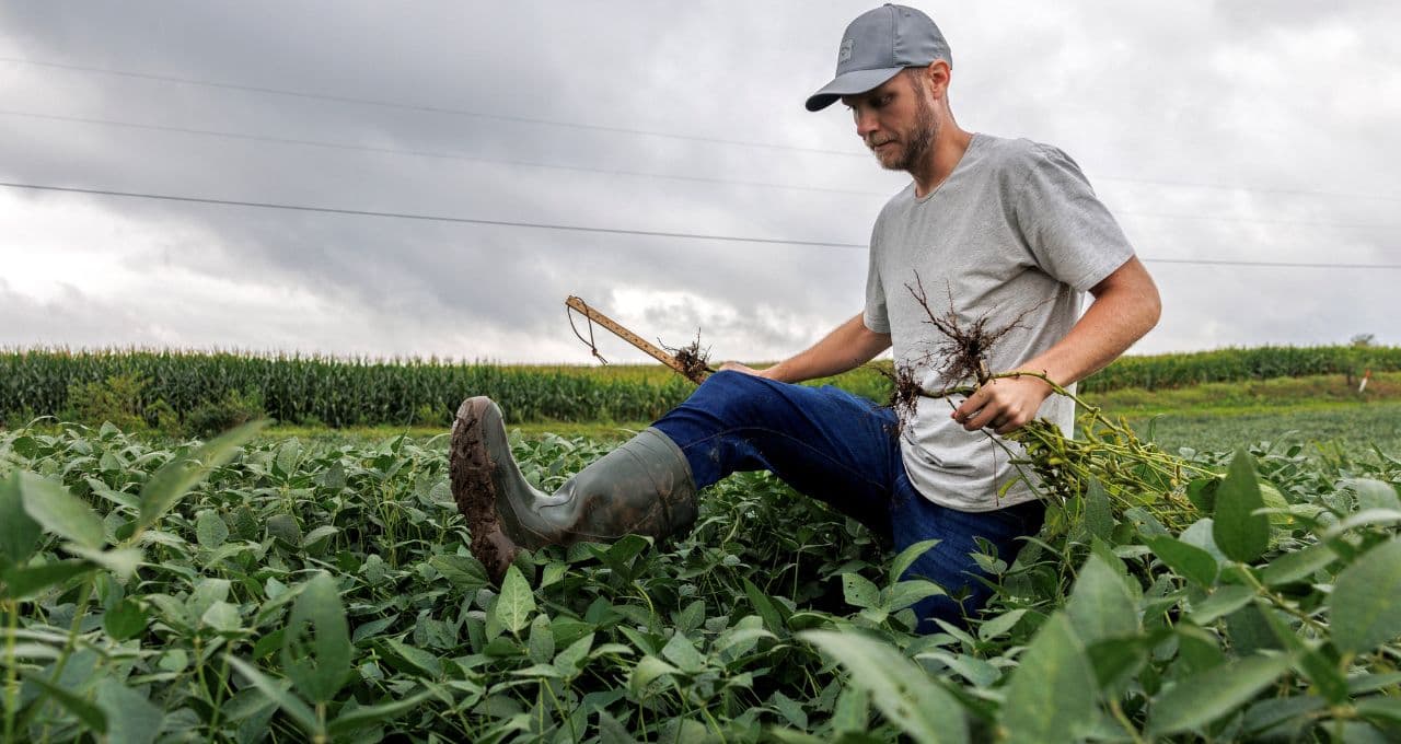 Milho encerra em queda em Chicago após operar abaixo de US$4/bu antes de dados do USDA