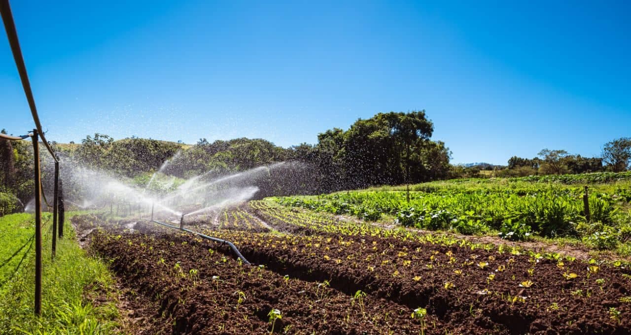 Plano Safra: agricultura familiar recebe R$ 85,2 bilhões em recursos