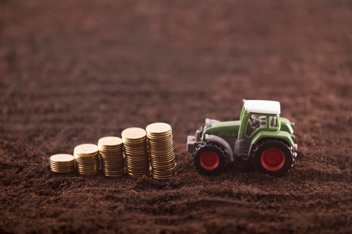 Fiagros: saiba como funciona classe de ativos que une investidores da bolsa ao mundo do agronegócio