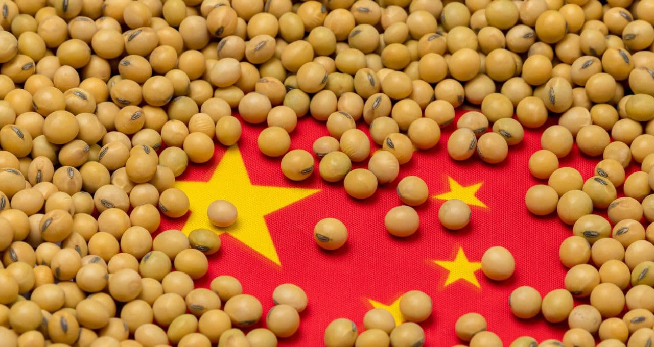 Estatais chinesas fecham grandes compras de soja dos EUA
