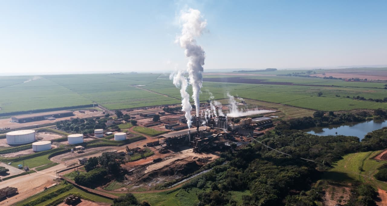 São Martinho (SMTO3): Lucro encolhe 39,3%, para R$ 38,14 milhões no 1T27