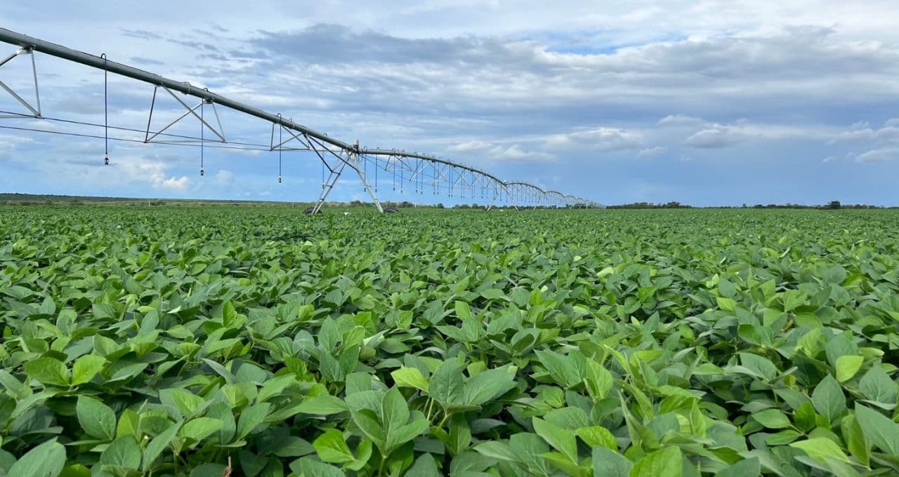 BrasilAgro (AGRO3) subiu 151 vezes desde o IPO; o que pode puxar o próximo ciclo (ou superciclo) das terras agrícolas?