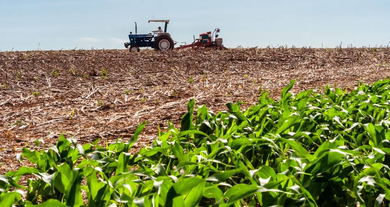 Adecoagro (AGRO): fertilizantes são destaque no 2T26, mas forte impulso pode ter chegado ao fim; é compra?