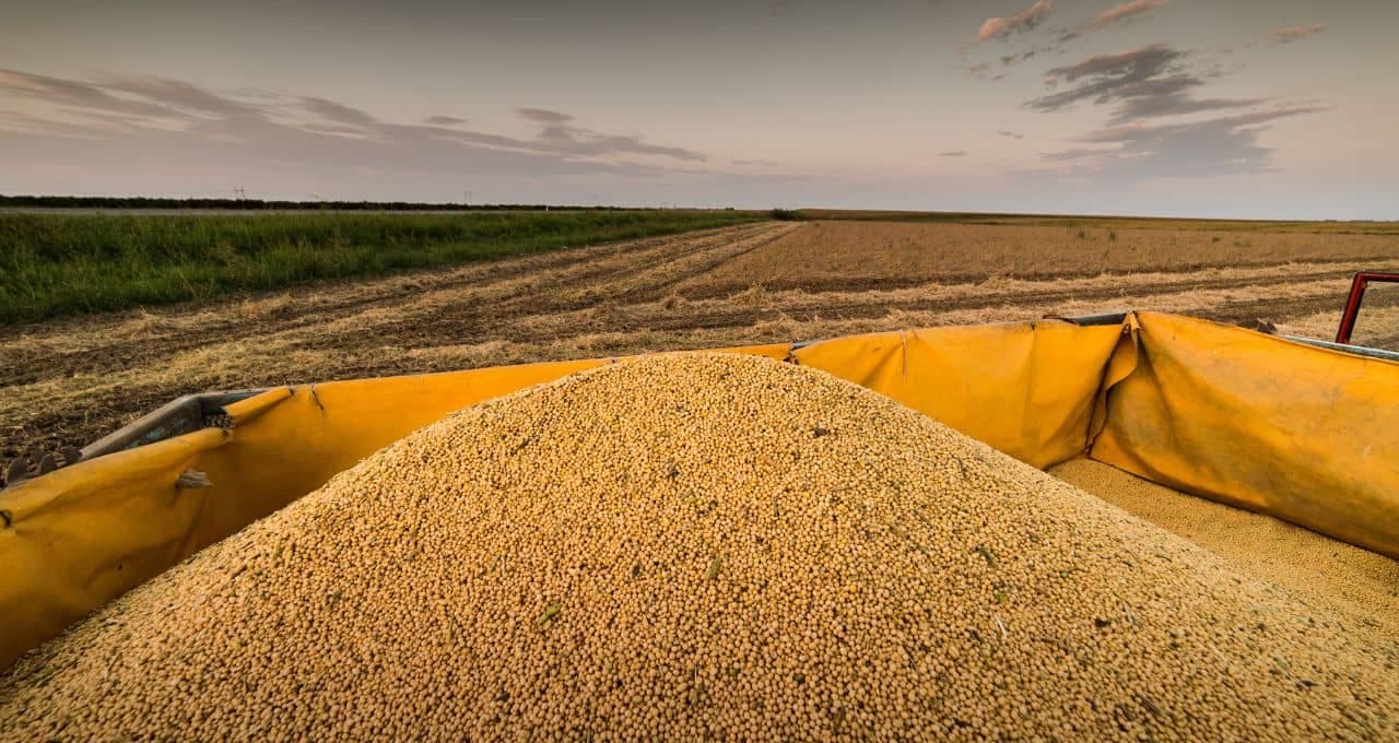 Índia deve importar volume recorde de óleo de soja em agosto; Brasil amplia embarques