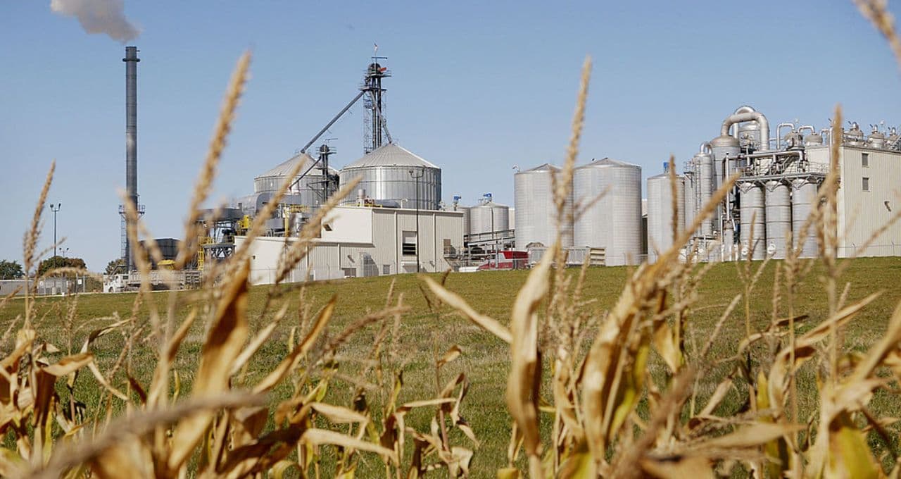Otimismo voltou? Santander recomenda compra para 2 ações do agronegócio — e uma delas pode disparar 151%