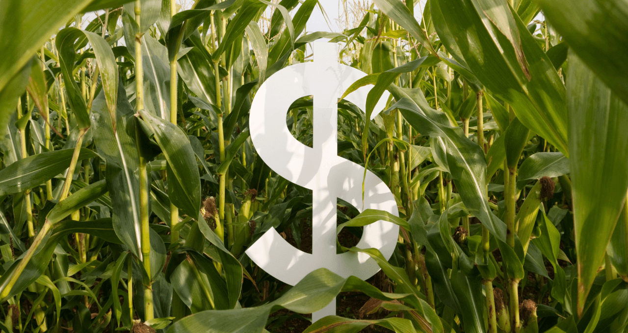 BTG Pactual lança megaoferta de até R$ 20 bilhões de Fiagro, com retorno-alvo de até 97% do CDI