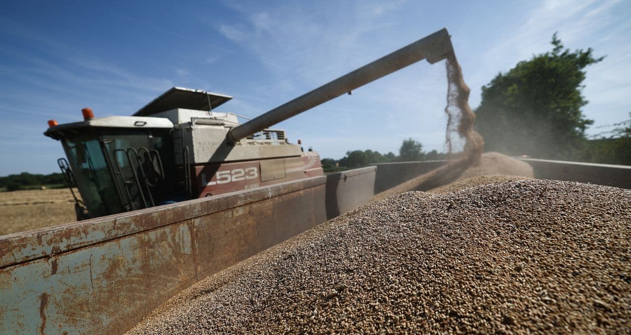Excedente de exportação de trigo da França pode desaparecer em 10 anos, dizem produtores