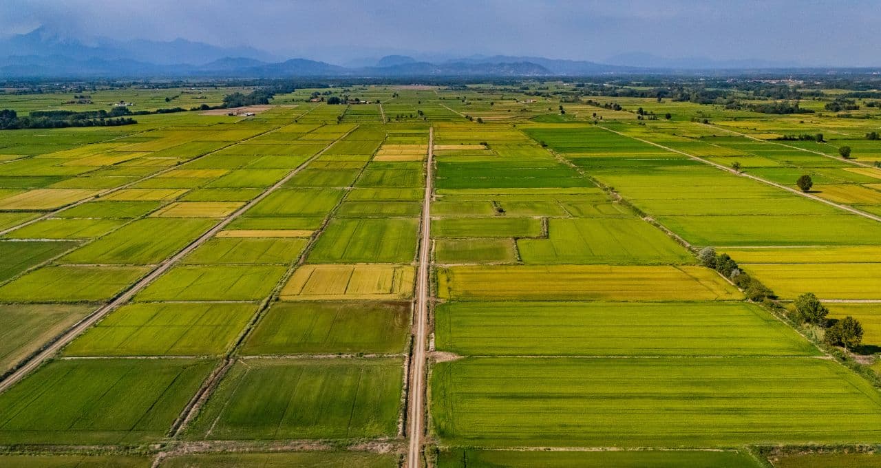 14 mil produtores se unem em manifesto que pede expansão da agricultura regenerativa no Brasil