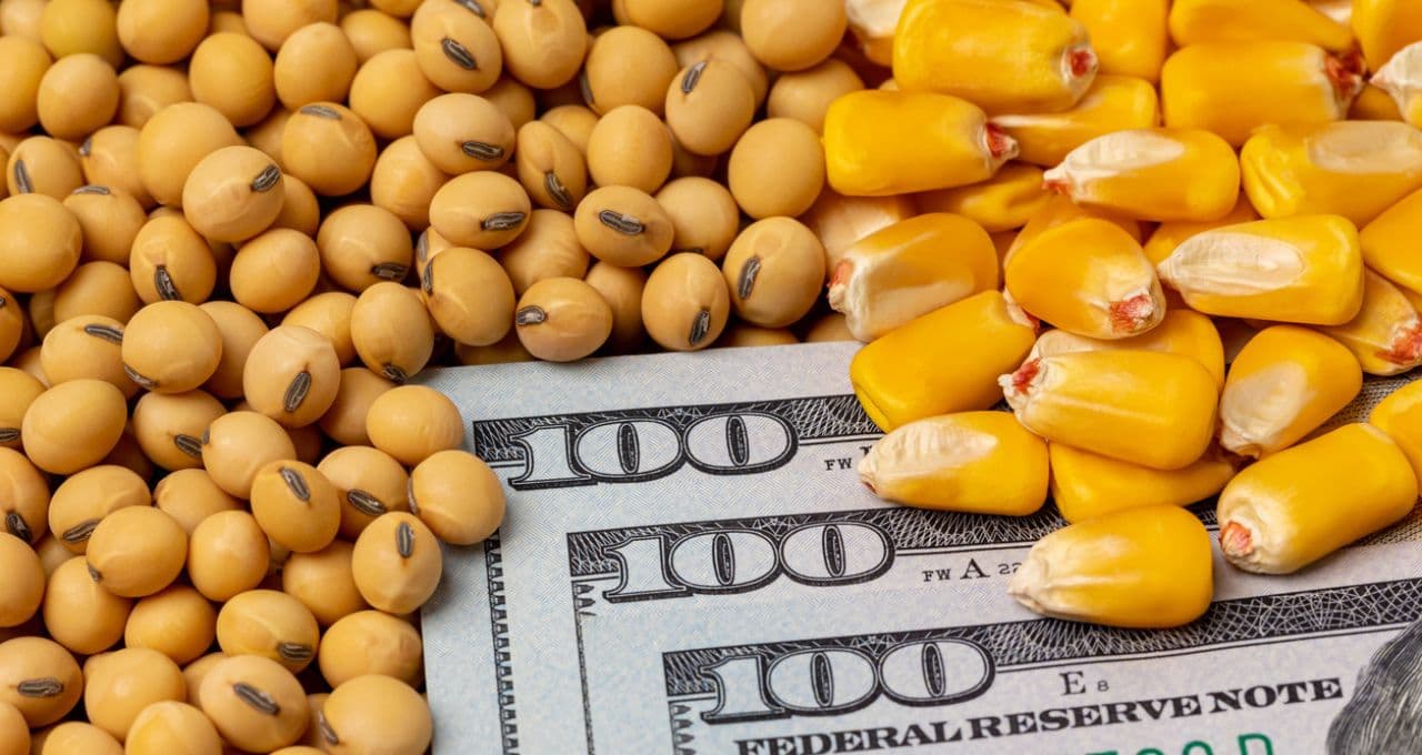 O mercado não esperava: USDA eleva estimativas de safra de milho e soja dos EUA; grãos recuam em Chicago
