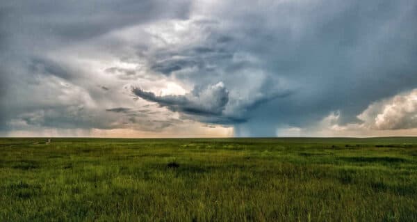 Chuvas extremas e secas prolongadas: como o ‘El Niño Godzilla’ é uma ameaça para a agricultura brasileira