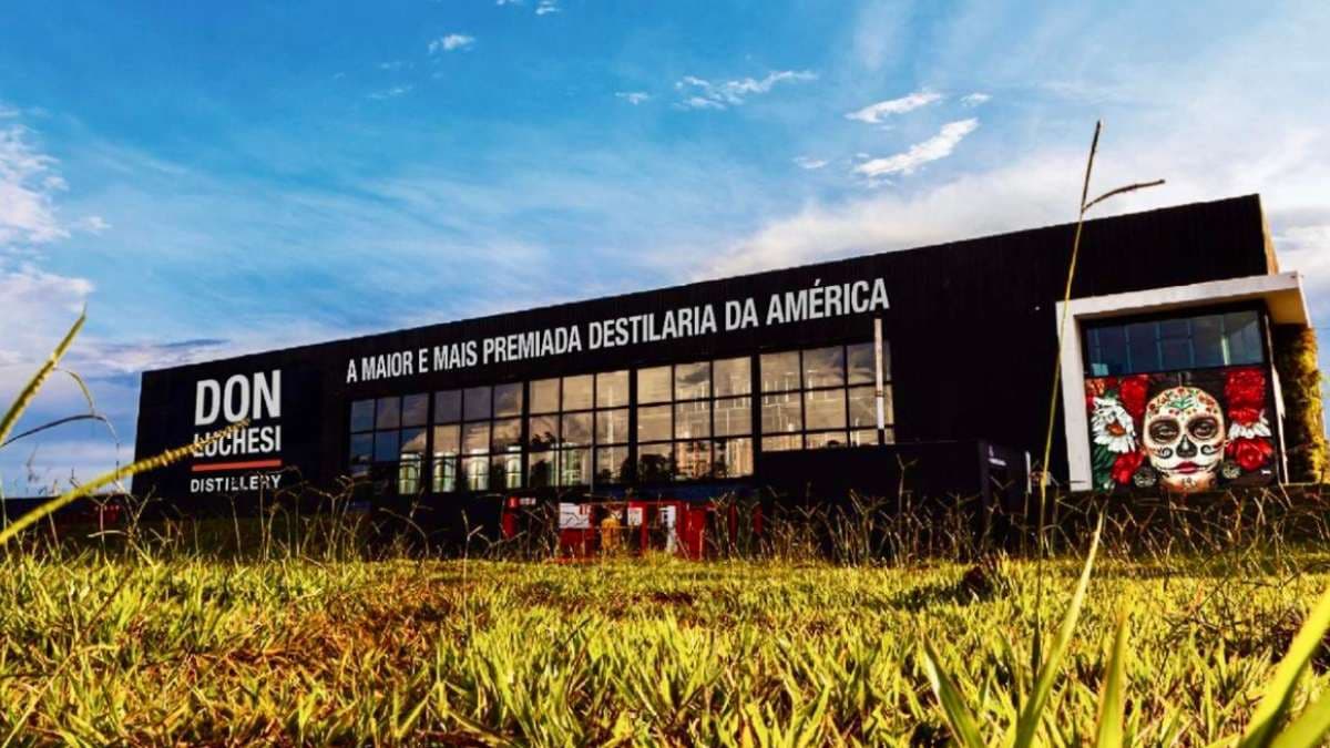 Um gin mineiro que bateu os ingleses, um vinho de R$ 35 ganhou medalha internacional e a ‘armadilha’ do Tesouro IPCA+ pagando 8%