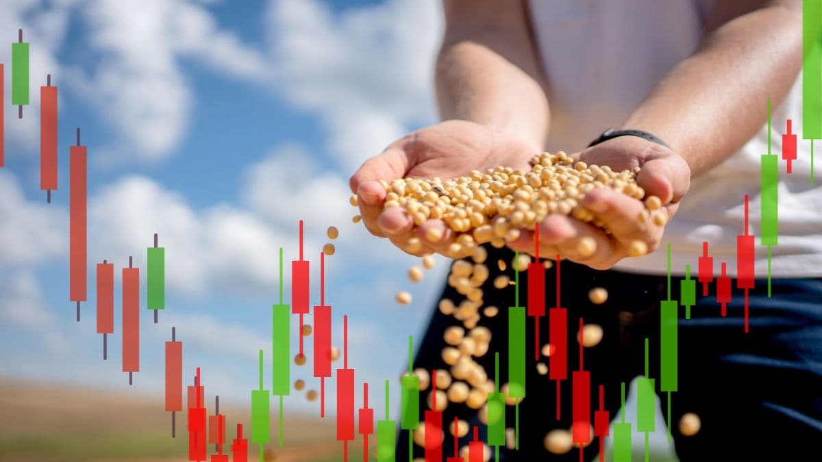 Agro ainda é pop? Crise pressiona crédito no setor, mas Fiagros rendem quase o dobro do CDI no ano; saiba o que esperar