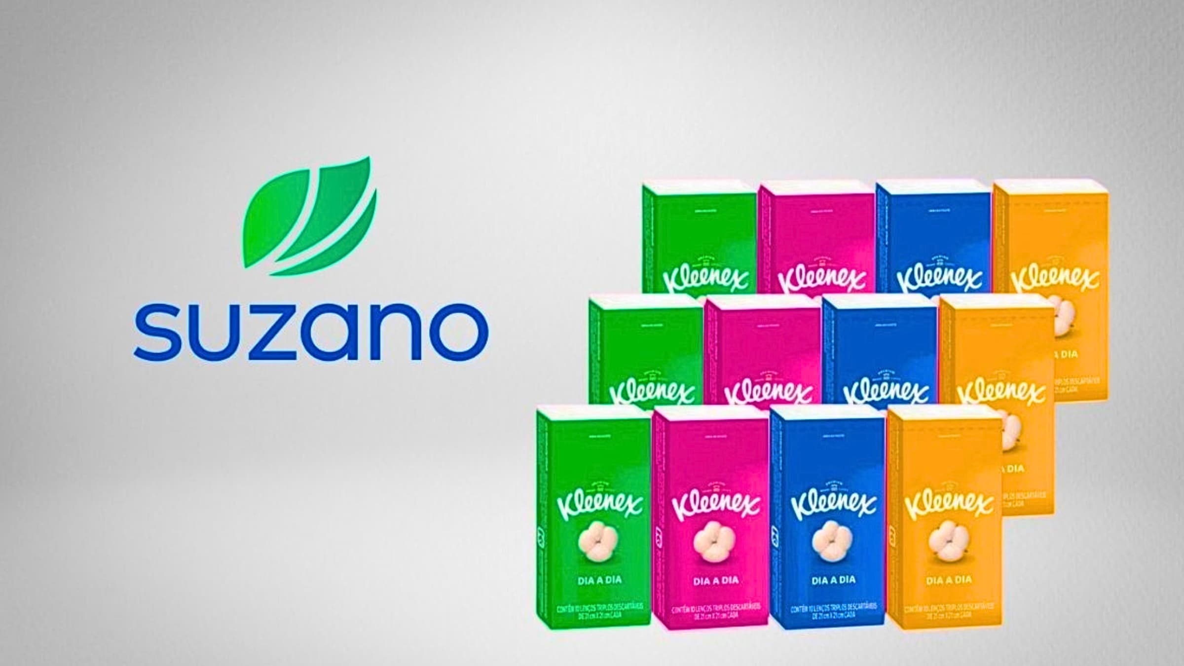 Nasce a maior aposta da Suzano (SUZB3) fora da celulose: joint venture com Kimberly-Clark já tem nome, ‘pai’ da criança e até dívida bilionária