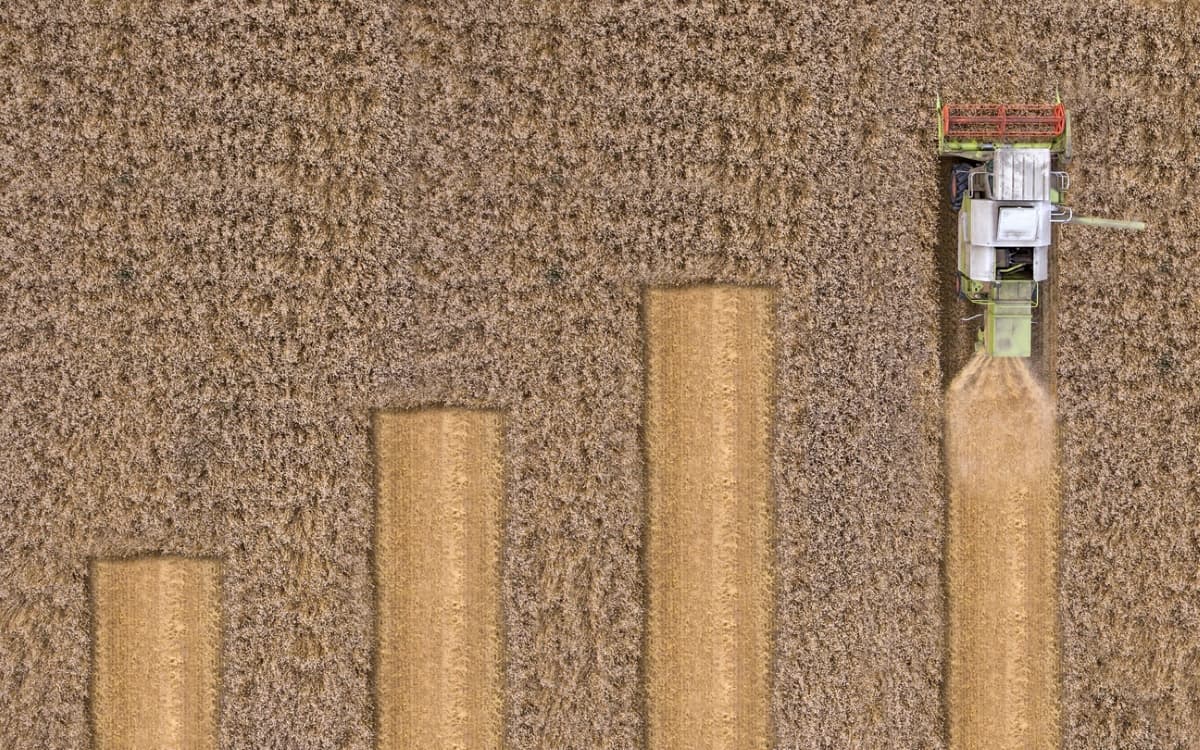 Conhece os Fiagros? Categoria ‘caçula’ no mercado de capitais estreita laços entre o agronegócio e o investidor brasileiro