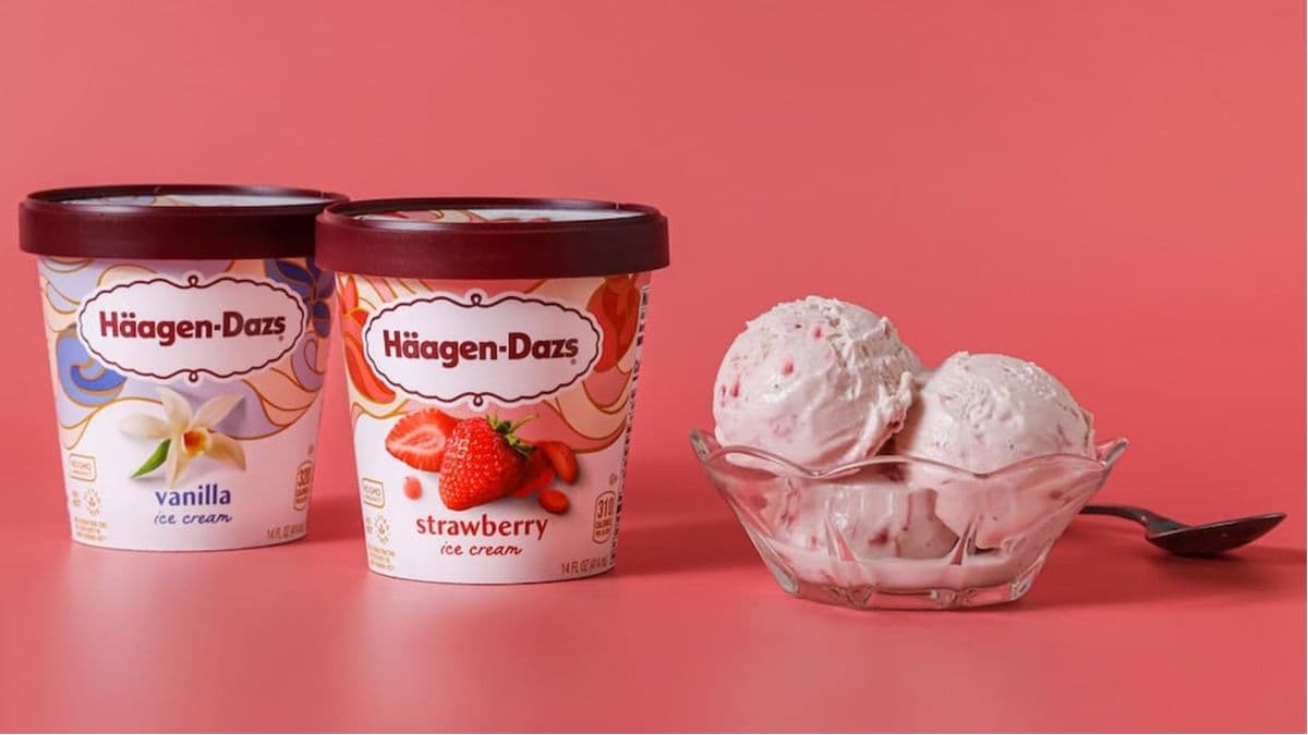 Alimentos para pets ou sorvete? Como uma mudança de prioridade levou a dona da Häagen-Dazs a encerrar distribuição da marca no Brasil