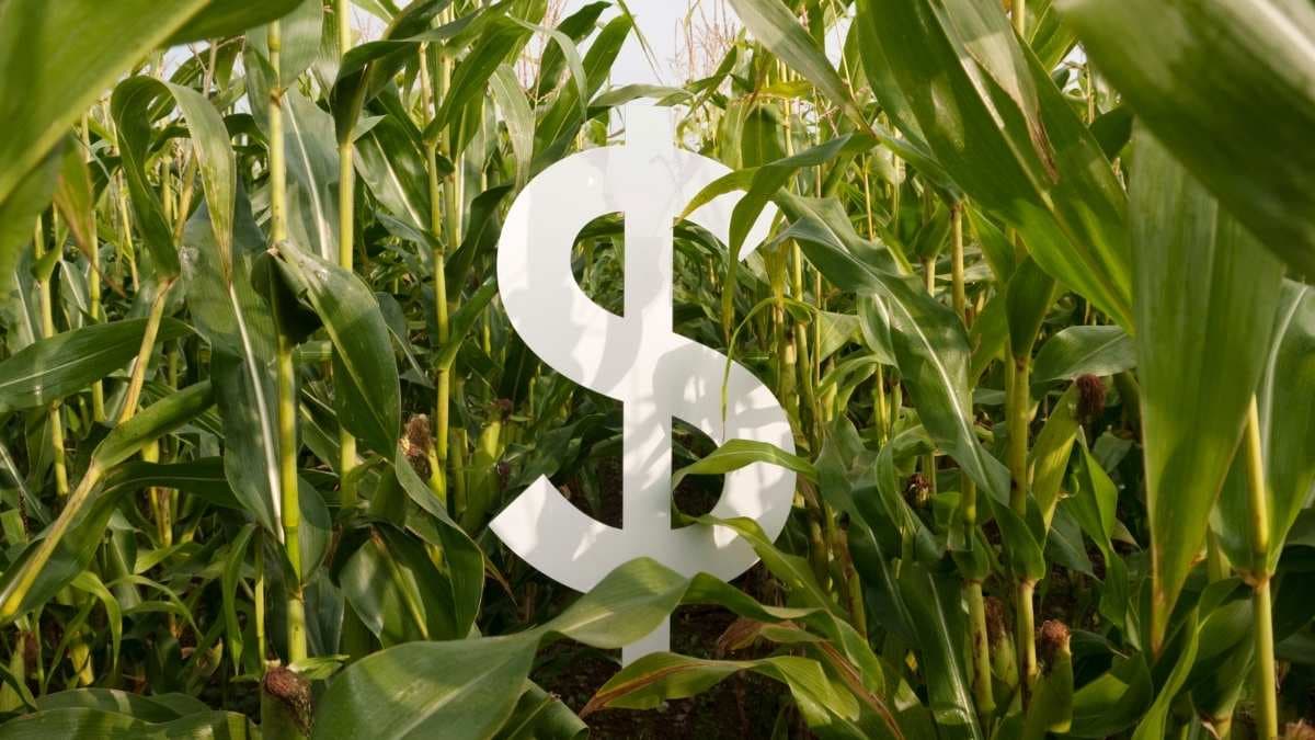 CRAs estão com os dias contados? Dinheiro do agronegócio está migrando para outros papéis isentos, mostram dados da Anbima