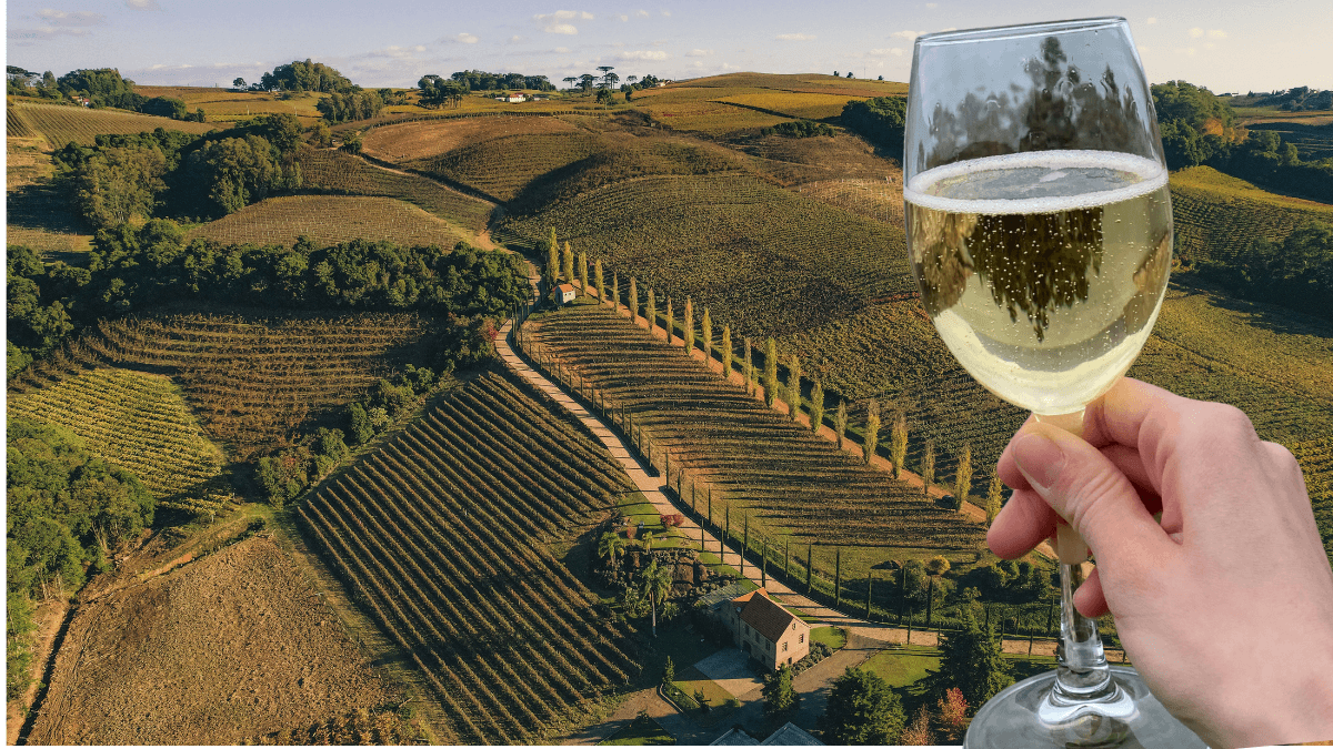 A vez da borbulha brasileira: entre Prosecco e Champagne, espumante nacional vive auge – e novos desafios