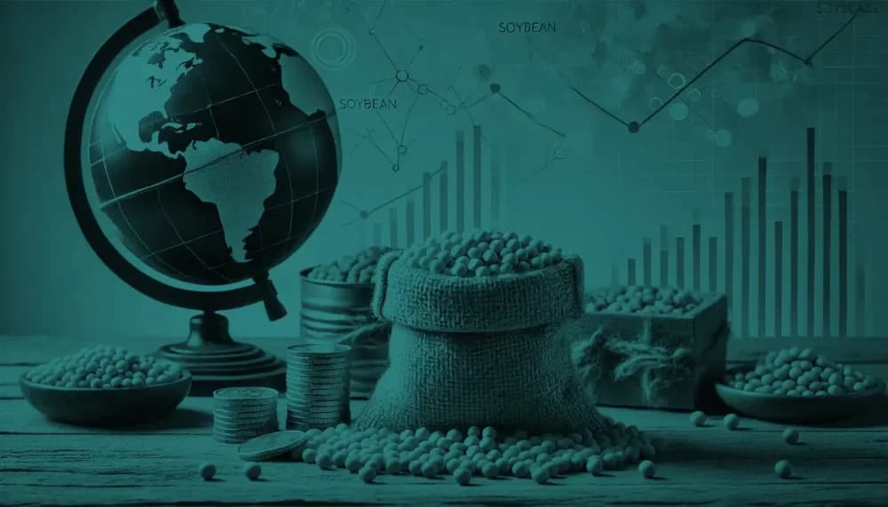 Como Funciona o Contrato Futuro de Soja
