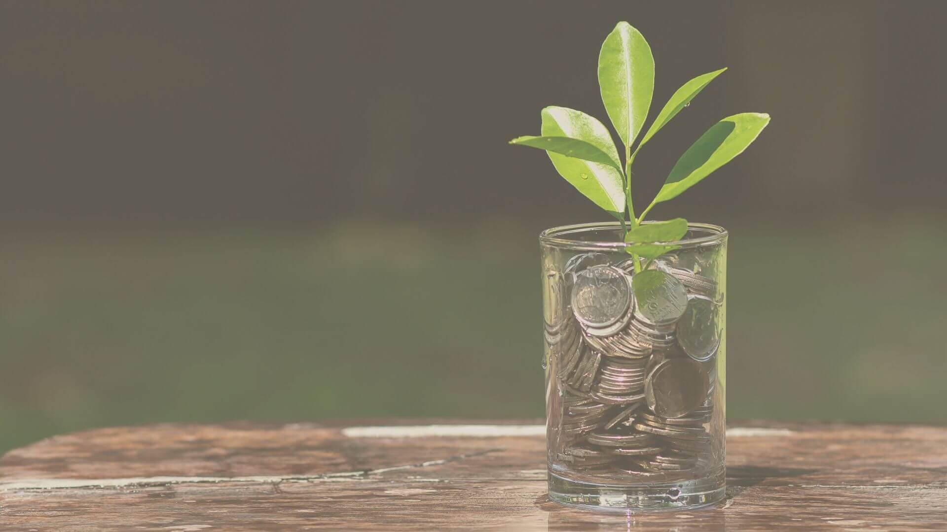 Consumo consciente, por que é importante repensar nossos hábitos?