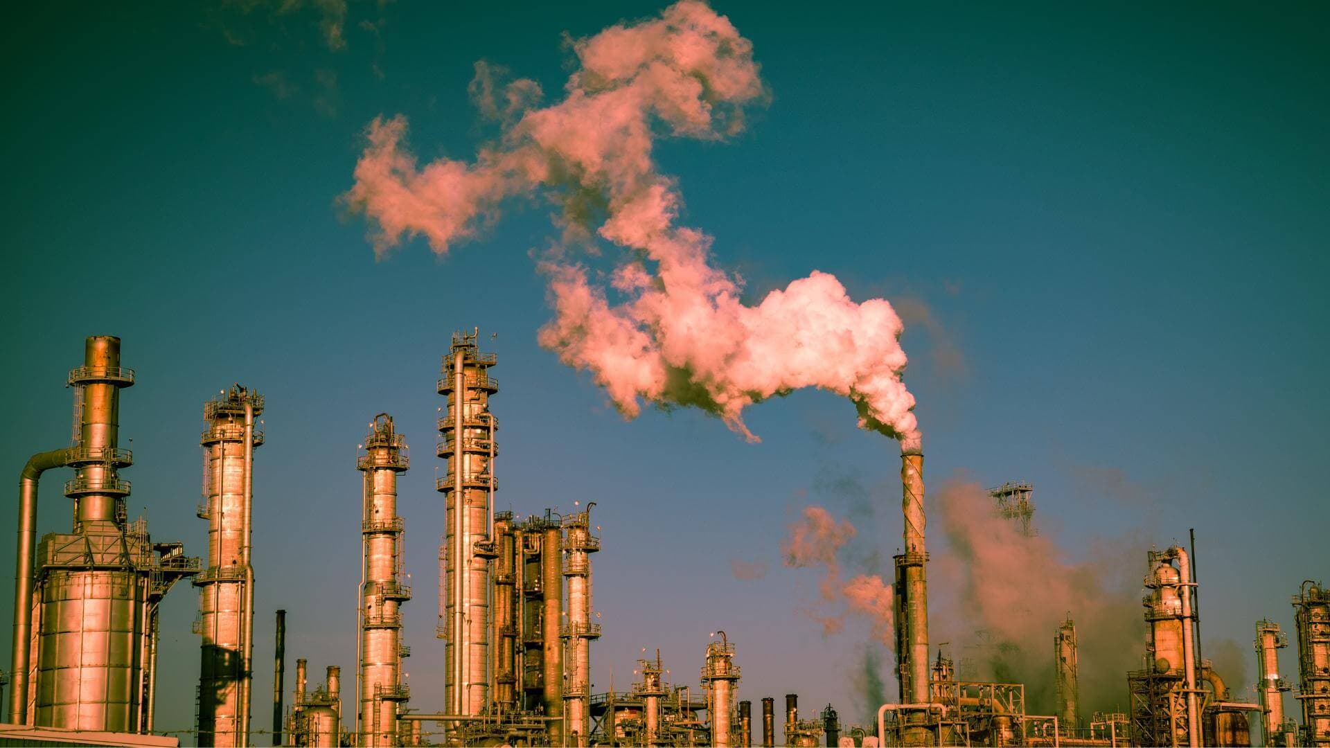 O que é Crédito de Carbono e como investir