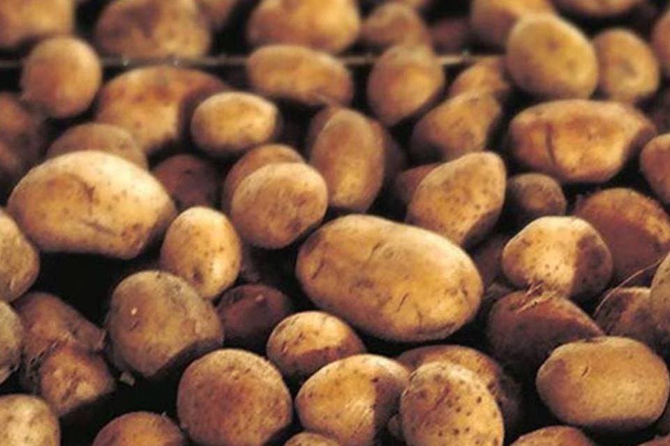 Batata ficou 700% mais cara — mas não foi no supermercado: entenda